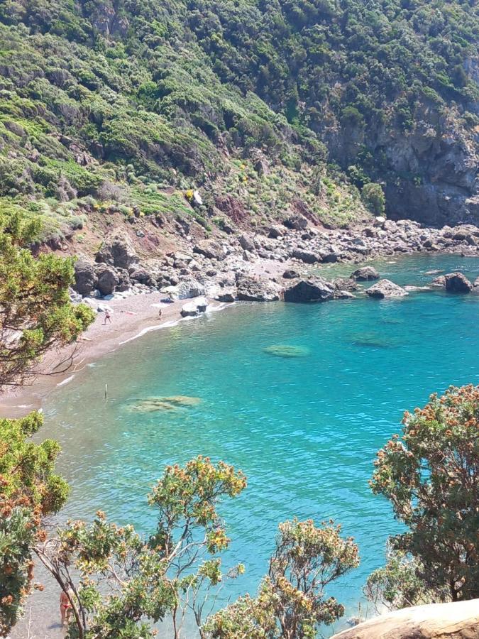 Lotte'S Guesthouse ليفورنو المظهر الخارجي الصورة
